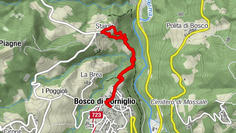 Bosco a fare il bagno