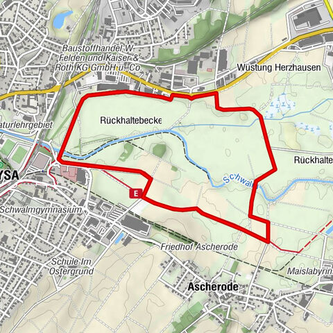 Schwalm statt Safari