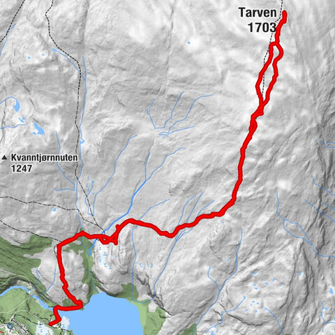 Auf den Tarven