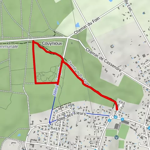 Balade à roulettes : La forêt du Taillan 1 - Impraticable
