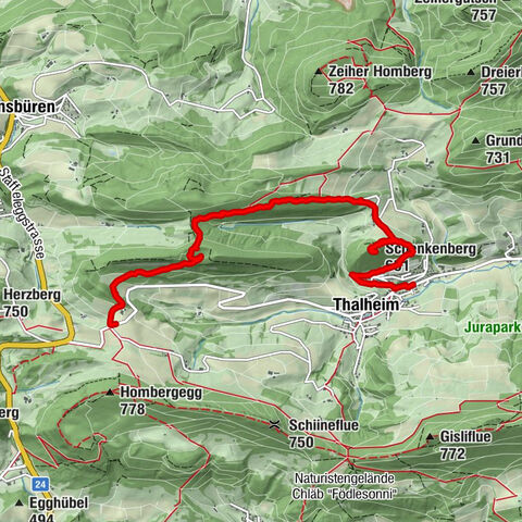 Staffelegg - Ruine Schenkenberg - Thalheim