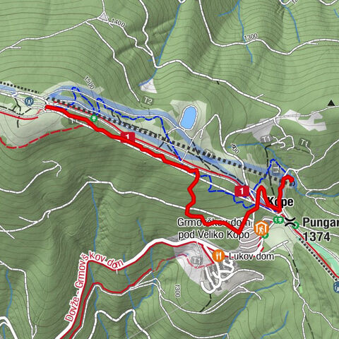Bike Park Kope: Blueberry trail