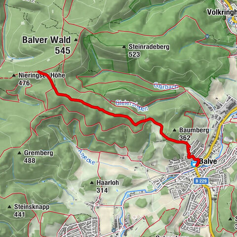 Zugangsweg Sauerland-Waldroute: Von Balve auf den Balver Wald