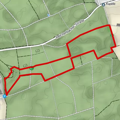 Streifzüge - Schallerweiherweg