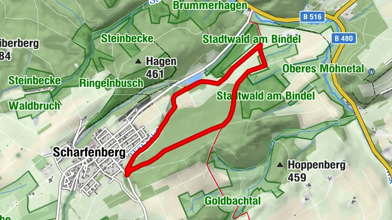 Brilon-Scharfenberg (A7)