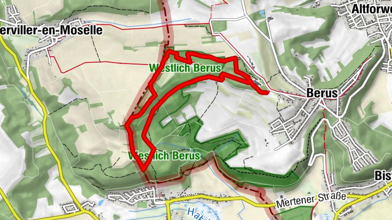 Traumschleifchen Beruser Europablick