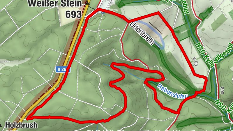 Udenbreth Weißer Stein: Schneeschuhwanderung mit Loipenkontakt