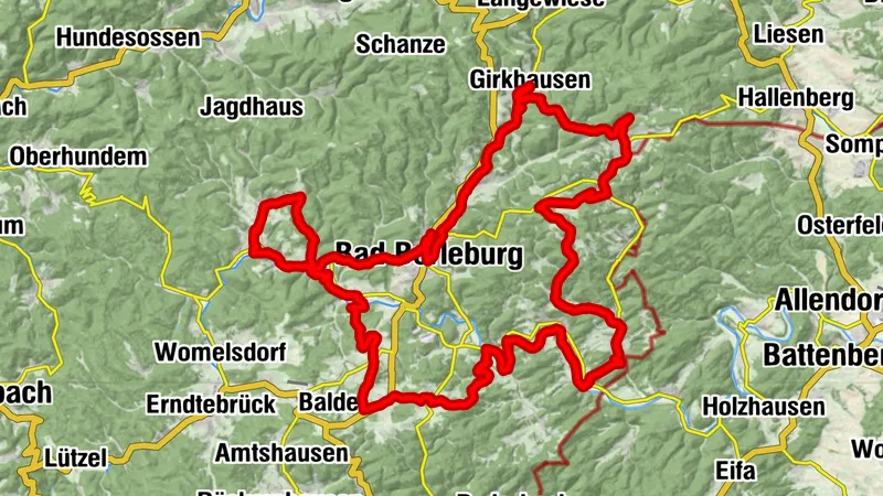 Die Holzmacherin