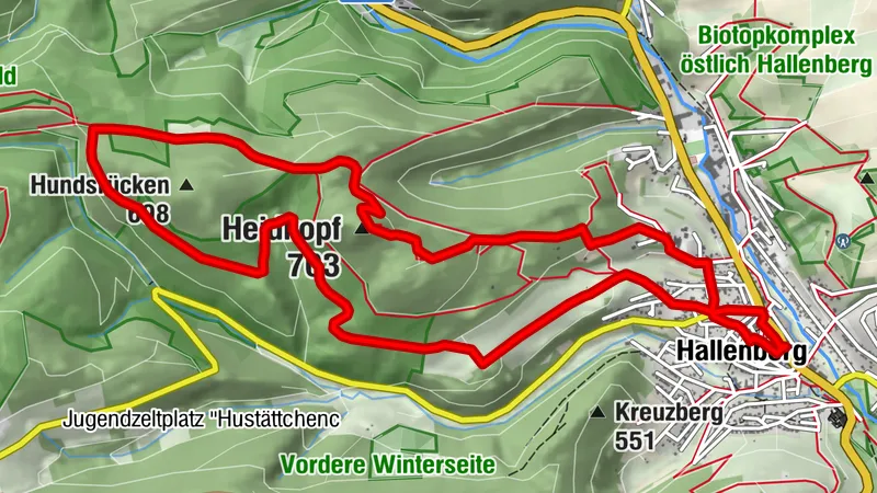 Waldgeschichten mit Adlerblick am Höhenflug