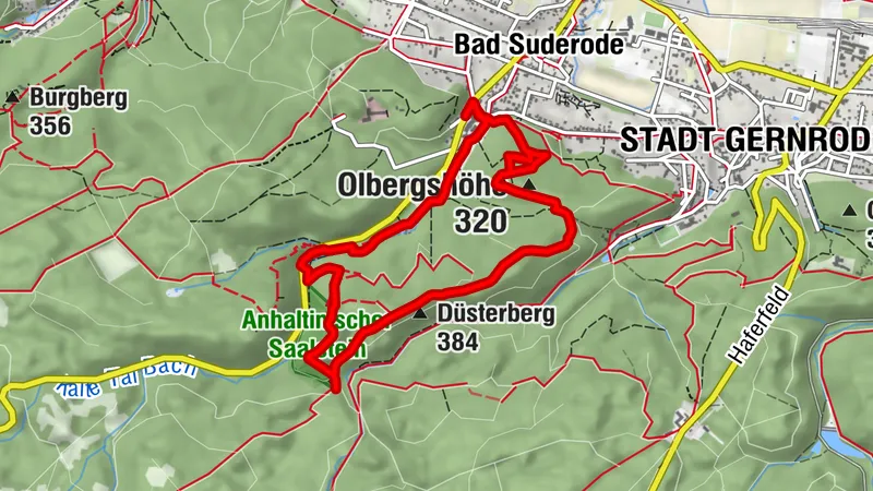 Bad Suderode - Anhaltinischer Salstein - Preußenturm - Bad Suderode