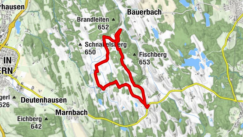 03 Magnetsrieder Hardtrunde - Orchideen, Enziane, Sumpfgladiolen und mehr