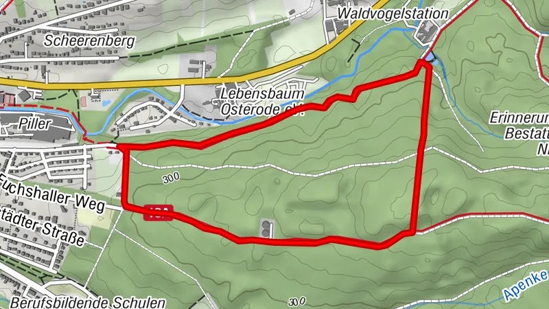 Rundweg Waldvogelstation