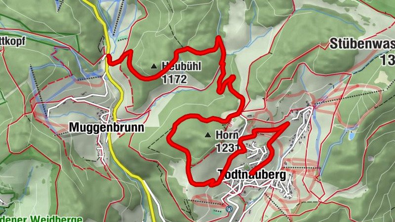 Walk from Muggenbrunn to Todtnauberg