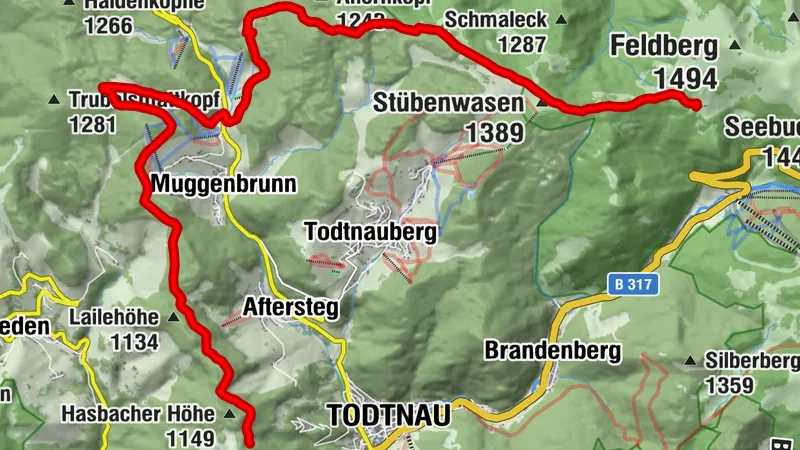 From the Todtnauer Hütte to the Knöpflesbrunnen