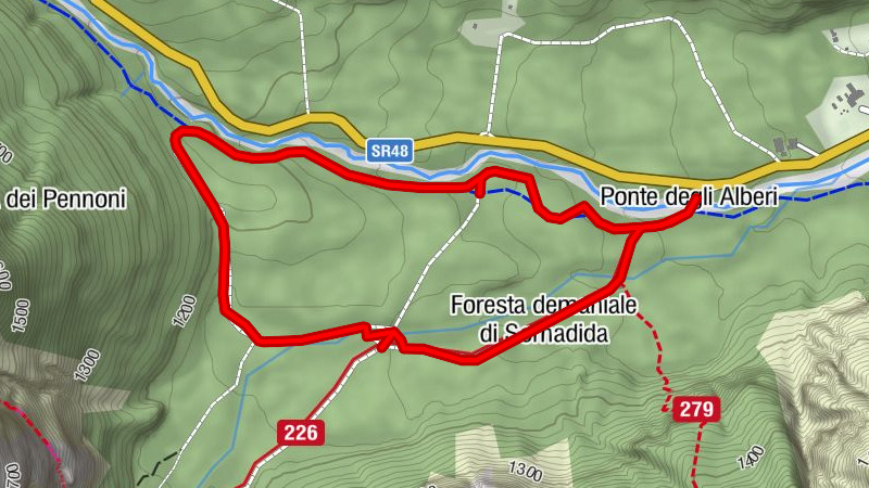 Somadida Forest - Ring to the Bridge of the Acers