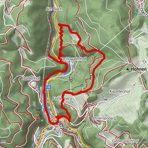 Circular hike on the Black Forest Railway Experience Trail