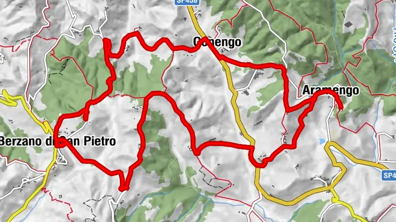 🟢GT.P 17 The Way of the Orchids