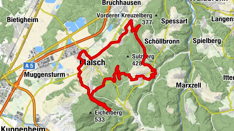 Rund um den Bergwald