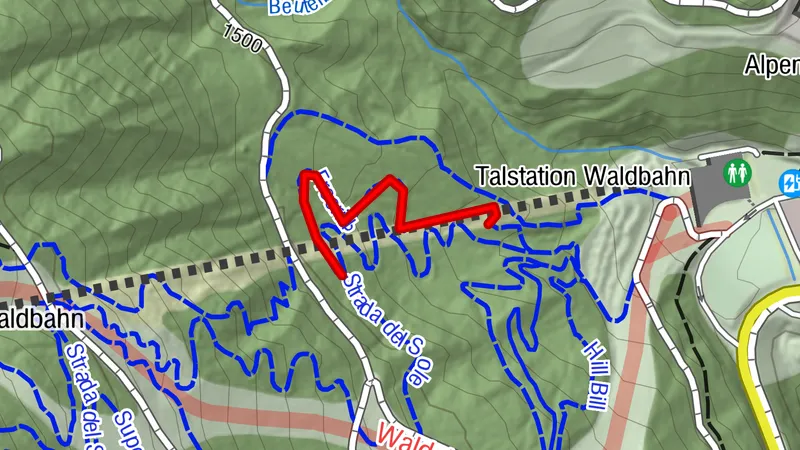Freeride Trail