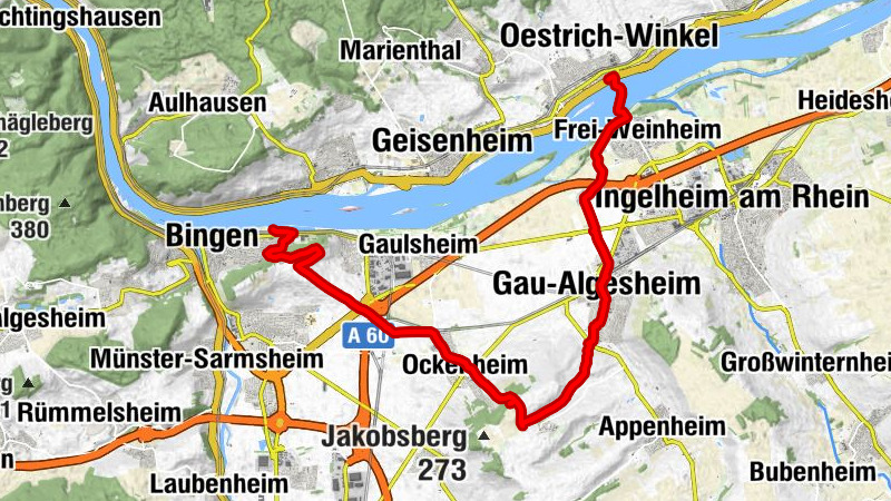 Ingelheim Bingen