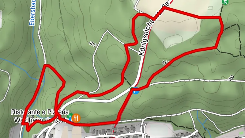 Boar trail