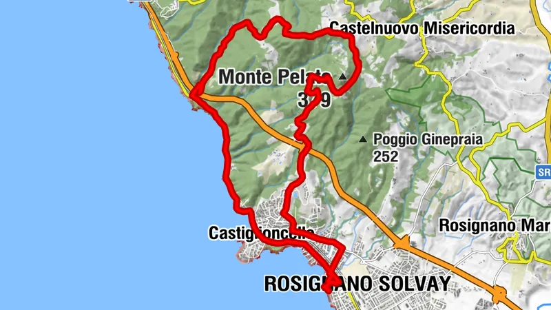 Rosignano Marittimo Ciclismo discesa da pian del lupo (difficile)