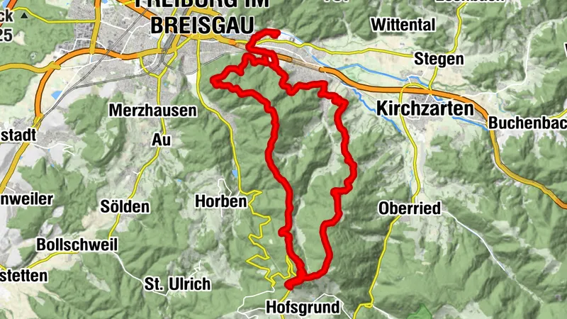 Freiburg - Schauinsland Trail Running Tour