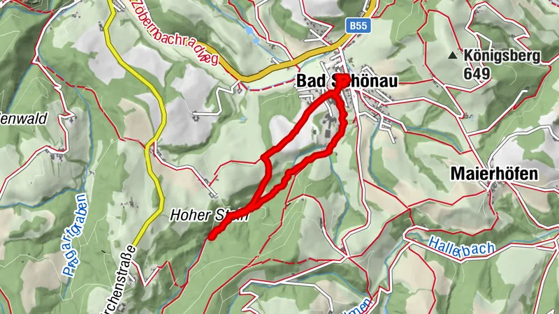 Bad Schönau Gehen