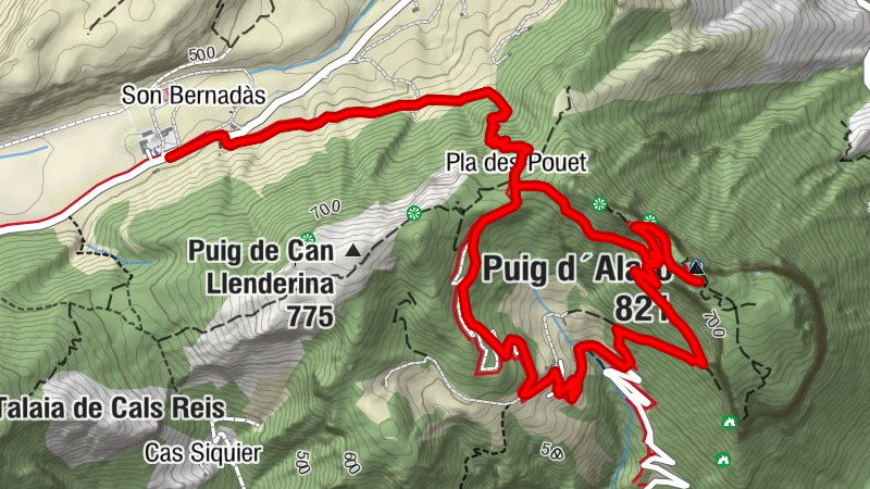 Orient zum Castell de Alaro Rd. 8 km und 500 HM