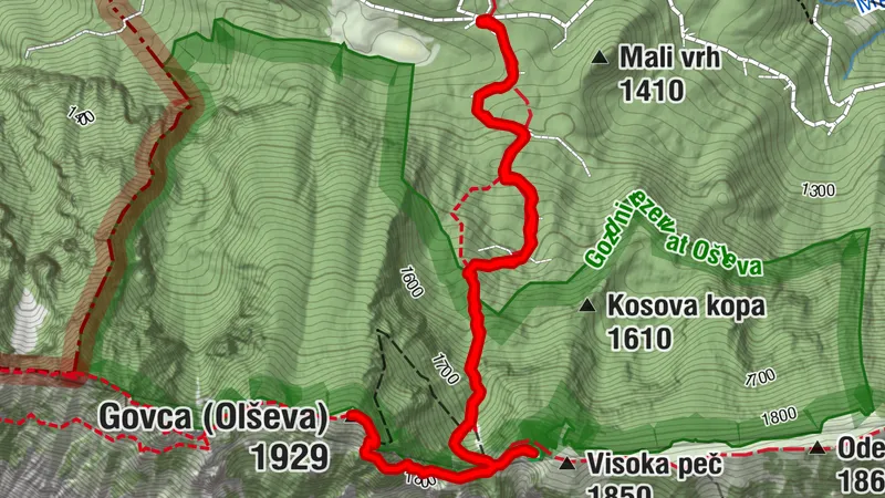 Olševa Govca