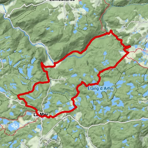 The Arfin Woods
