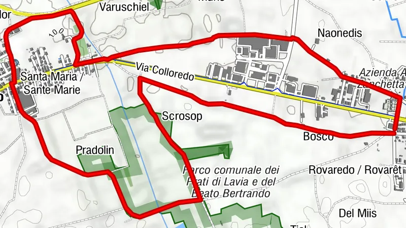 10 thousand steps of health FVG - PASIAN DI PRATO