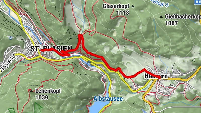 Von Häusern nach St. Blasien