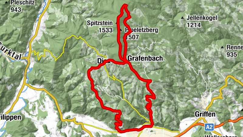 Haimburg - Sapotnikofen - Diexer Alpe - Spitzstein