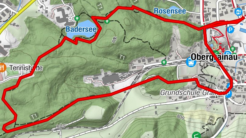 Unsere "Wald und Wiesen Medizin"