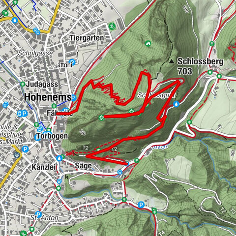 Zur Ruine Alt Ems - Serpentinenweg auf den Schlossberg