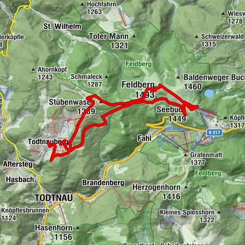 Feldbergtour