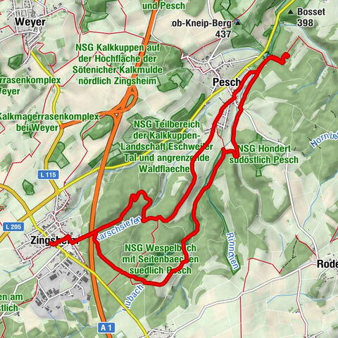 Zingsheim/Eifelschleife Wespelquelle