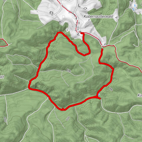 Scherfeck-REANDL Runde