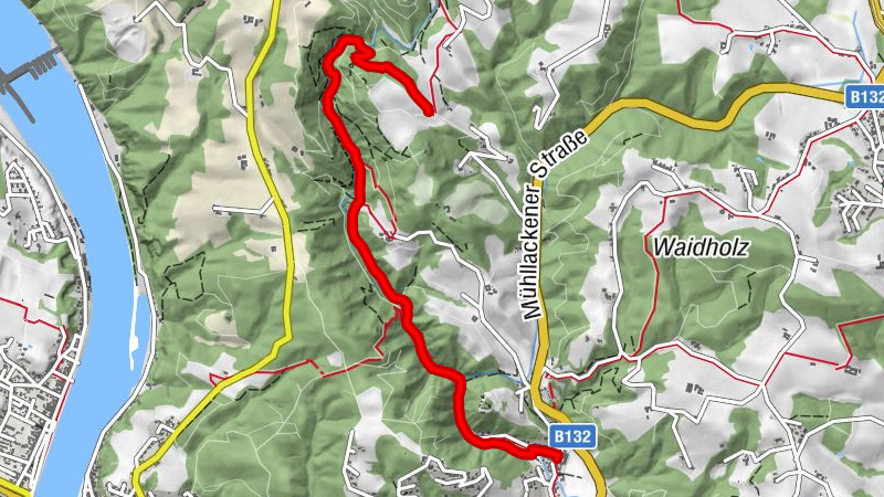Kerzensteinwanderung im "Naturschutzgebiet Pesenbachtal"
