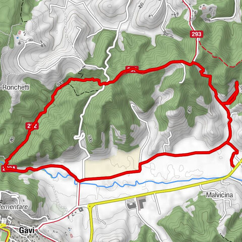 Gavi Monterotondo